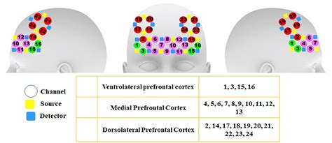 Frontiers Sex Based Differences In Functional Connectivity During A