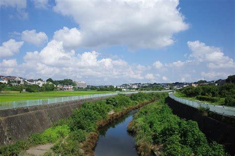 長津田十景 その1 長津田歴史探訪 下宿常夜燈 : ちゃっぷの温泉・ハイキングブログ