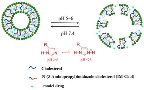 Schematic Representation Of PH Triggered Release Of IM Chol Liposomes