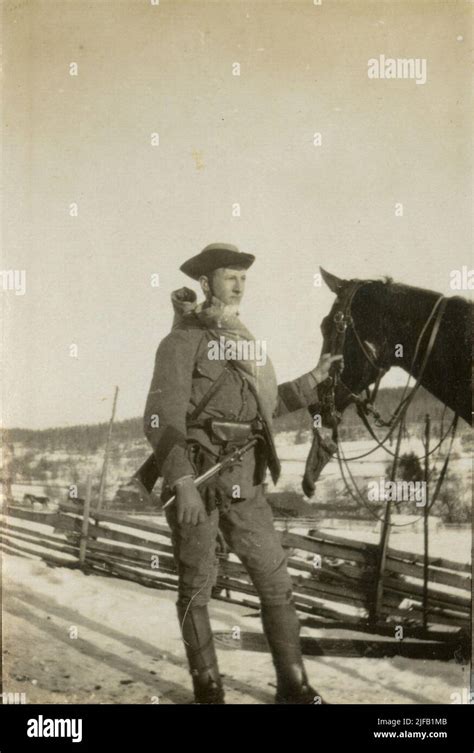 soldier  horse stock photo alamy