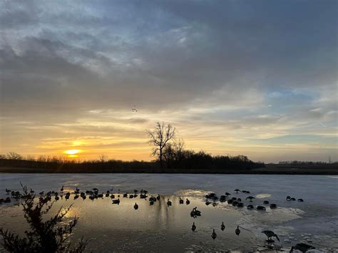 Understand the seasonal changes detailed in the latest kansas fishing report 15