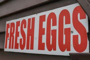 South Dildo Park Glamping Suites