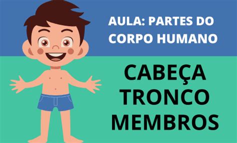 Cabeça Tronco E Membros Atividades - Aula Interativa: Descobrindo as Partes do Corpo Humano! | Cabeça tronco ...