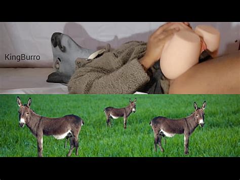 Une blonde au gros cul se fait baiser par un âne XVIDEOS