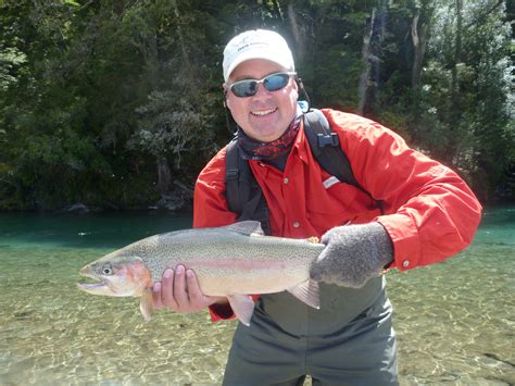 Guided Fly Fishing Trips In Queenstown Aspiring Fly Fishing