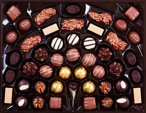 Chocolate pralines stock photo. Image of brown, decorative - 17718204
