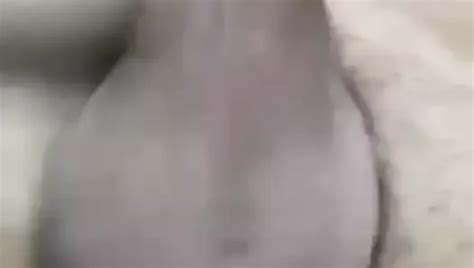 Arxidia Me Trixa Free Solo Man Porn Video Xhamster