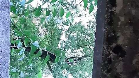 Porno Videos in der Kategorie Öffentliche Toiletten Sex xHamster