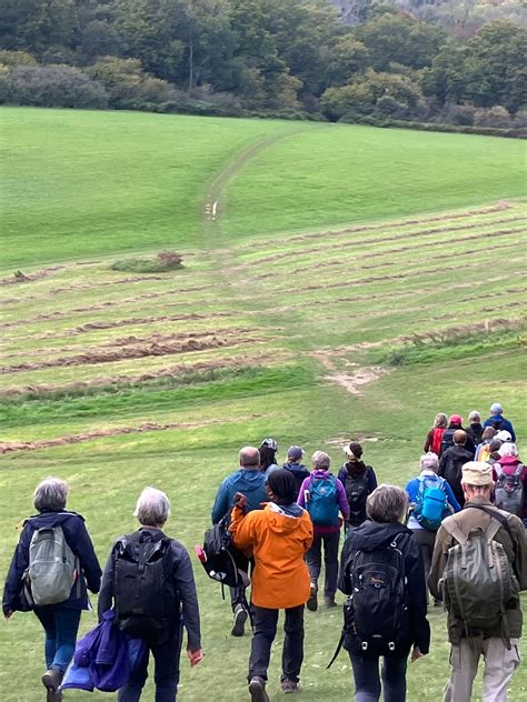 Route 463 Bus: Coulsdon South to Pollards Hill Timetable 2