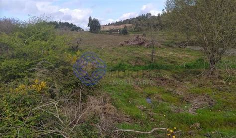 Terreno Venda Em Serra E Junceira Tomar Idealista