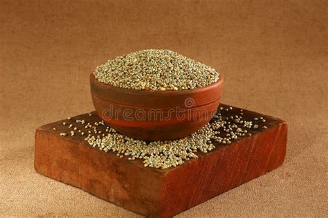 Bajra or Pearl Millet, Indian Mota Anaj Stock Image - Image of index, bajra: 314069919