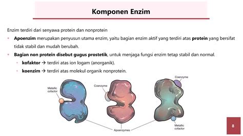 bab  enzim  metabolisme pptx