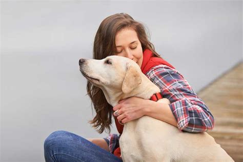 how to select the right dog