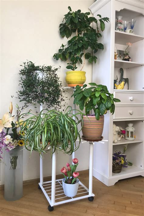 Подставки напольные "ПИОН" | Интернет магазин подставок для цветов и ...