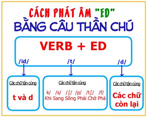 Cách Phát Âm ED Hướng Dẫn Chi Tiết Và Mẹo Nhớ Đơn Giản