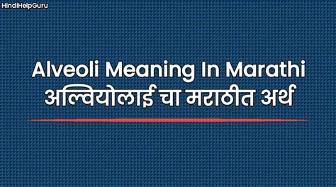 Alveoli Meaning In Marathi अल्वियोलाई चा मराठीत अर्थ