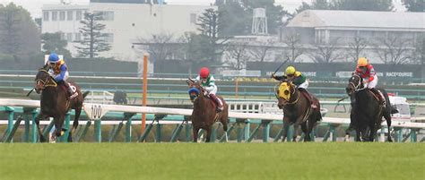 【阪神大賞典】テーオーロイヤル 重賞連勝 天皇賞・春の主役候補に名乗り― スポニチ Sponichi Annex ギャンブル