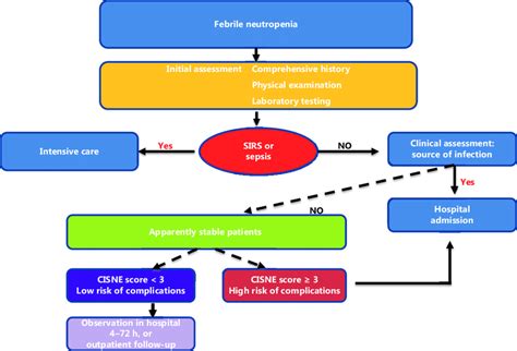 Decision Making Algorithm In Febrile Neutropenia According To The Cisne Download Scientific