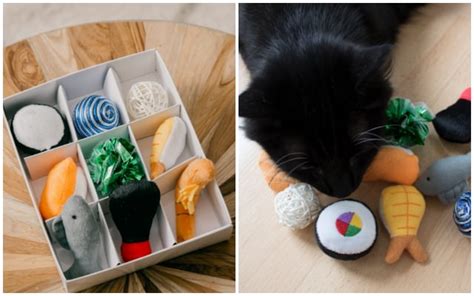 3 Reasons You Should Invest In Catnip Toys For Your Kitty