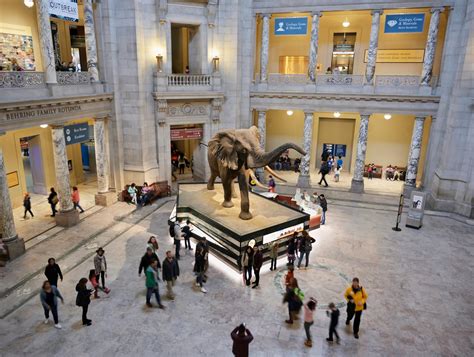 Best free virtual tours for kids: Museums, castles and more | GoodtoKnow