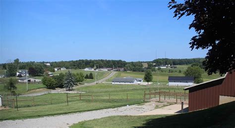 Akita Puppies For Sale In Ohio