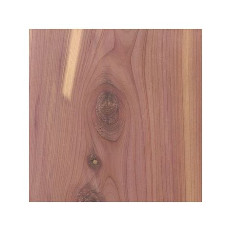 cedar
