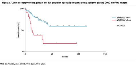 Leucemia Mieloide Acuta Con Mutazioni Somatiche NPM1 Una Sfida Clinica