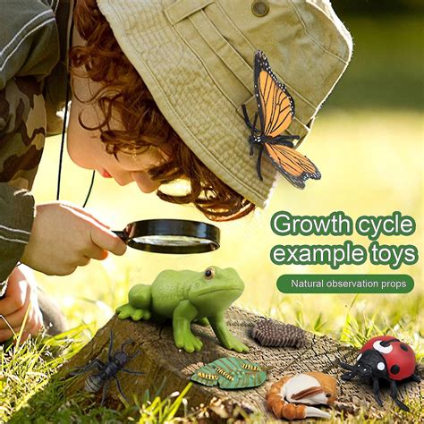 1 Box Biology Discovery Toy Realistic Frog Bee Panda Chick Butterfly