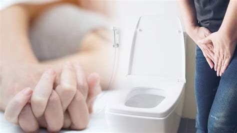 Does Peeing After Sex Reduce Ones Chances Of Getting Pregnant Semen Sperm