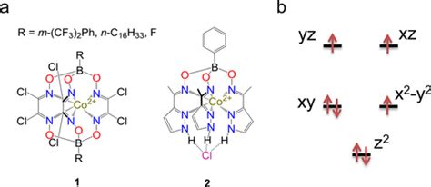 A Trigonal Prismatic Mononuclear Cobalt II Complex Showing Single