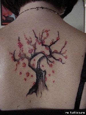 Cherry Blossom Tattoo Images Pictures Of Body Art Photos And Tattoo