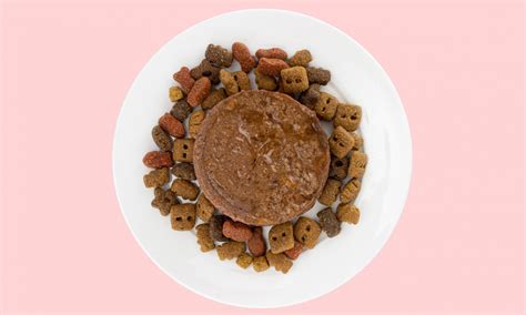 The Benefits Mixing Wet and Dry Dog Food or Cat Food | BeChewy