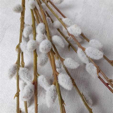 Artificial Pussy Willows Etsy