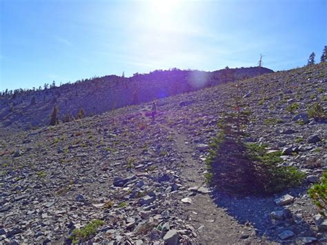 Mt Shasta — Day 1 South Gate Meadows Persimmon Dreams