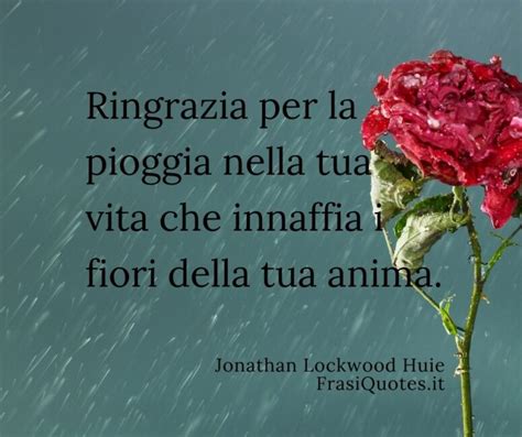 Pioggia Frasi