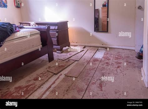 Santa Cruz Watsonville Ca Usa On January 12 2023 Interior Of Homes