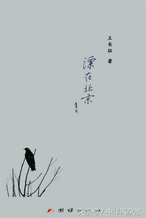 好書薦讀：王長征《漂在北京》 每日頭條