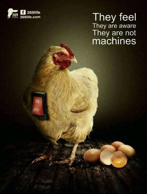 Is Peta Ending I D Rather Go Naked Than Wear Fur Artofit