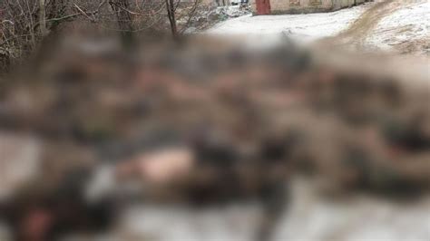 Russia S Wagner Group Boss Releases Image Of Dead Soldiers Accusing Defence Ministry Of