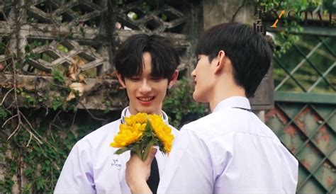 POOHPAVEL x 星向XSTAR Pit babe New world It cast