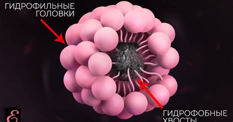 Знакомьтесь, "Мицеллярная вода"