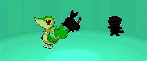 Snivy Attract 
