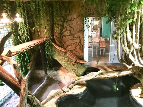 zoo animal enclosure requirements 4