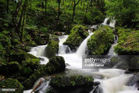 69 El Yunque Waterfalls Stock Photos, High-Res Pictures, and Images ...