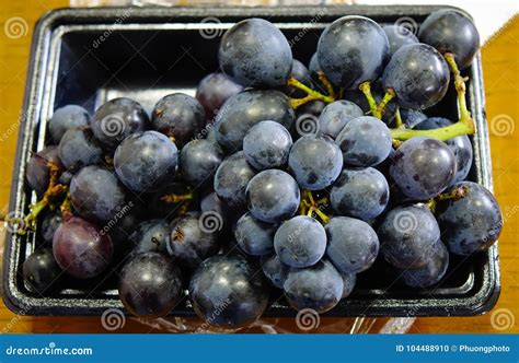 Kyoho Grapes Giant Mountain Grapes Stock Photo Image Of Plump