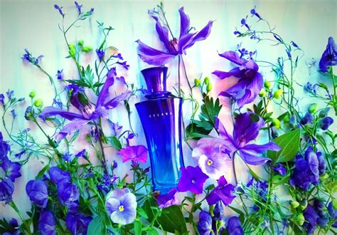 Belara Mary Kay perfume - a fragrância Feminino 2000