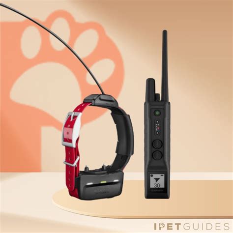 9 Best Garmin Dog Training & Tracking Collars [2024 Updated]