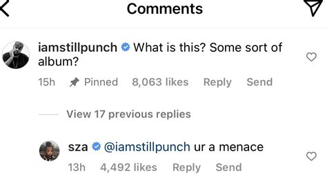 SZA Reveals Cover Art For Sophomore Album ‘S.O.S.'