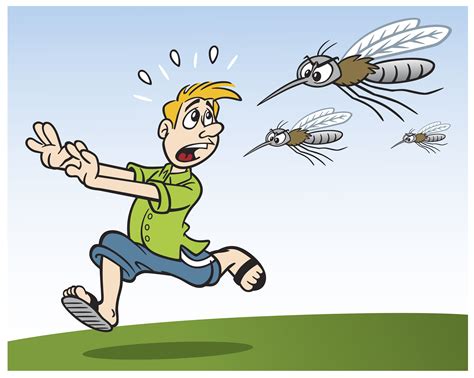 How to avoid Chikungunya - Sussex Travel Clinic