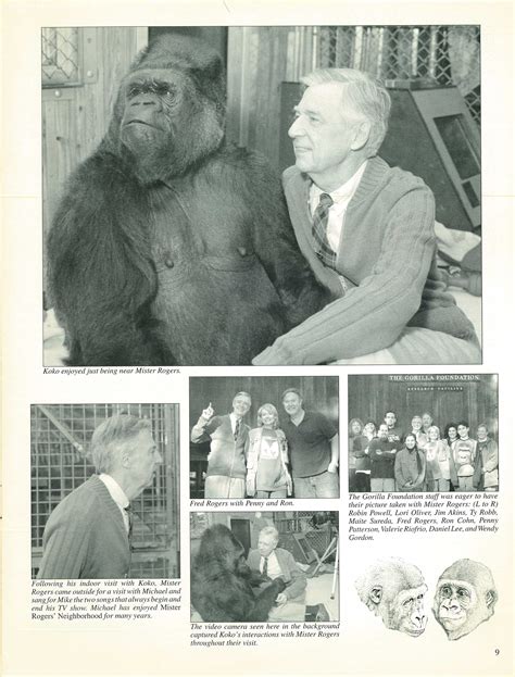 Gorilla Magazine The Mister Rogers Neighborhood Archive